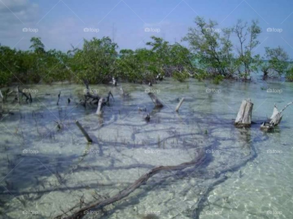 Key West Florida (Jan.2013)