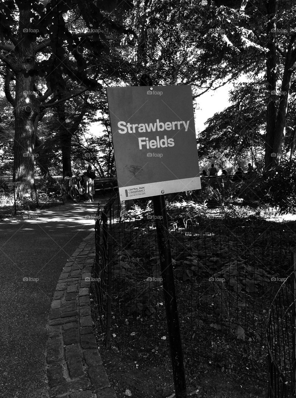 Strawberry Fields
