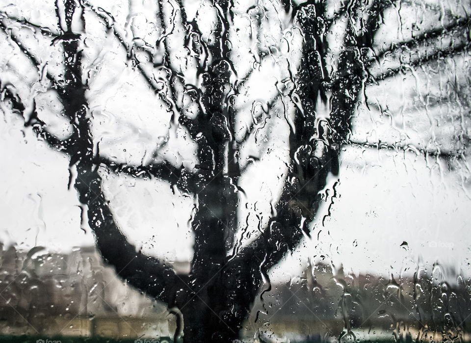The bare branches on a tree appear distorted through a rain drenched window