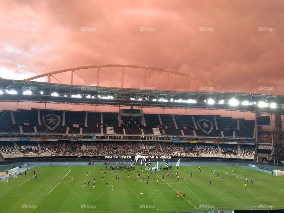 Black , White and Orange.