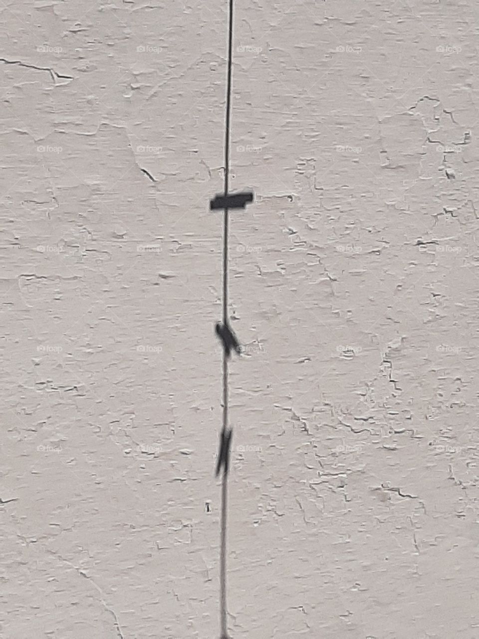 tiende tus sueños al aire y deja tu huella