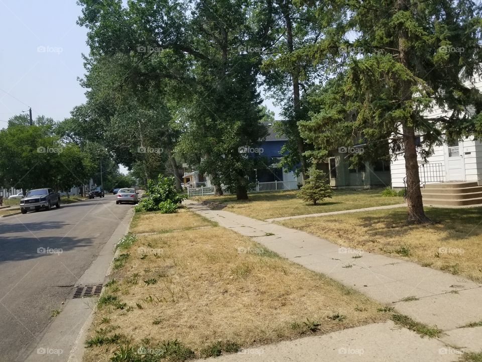 Road, Tree, Guidance, No Person, Environment
