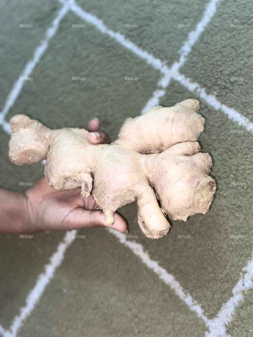 Beautiful and amazing big ginger 