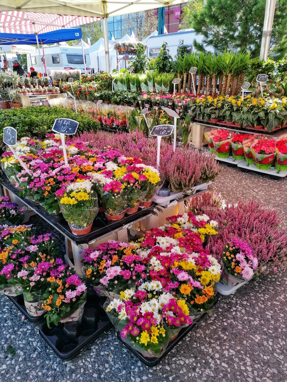 International markets in Tornio, Lapland, Finland. There are companies from several dozen different countries selling and presenting their products. People are happy when finally something happens for a long time.