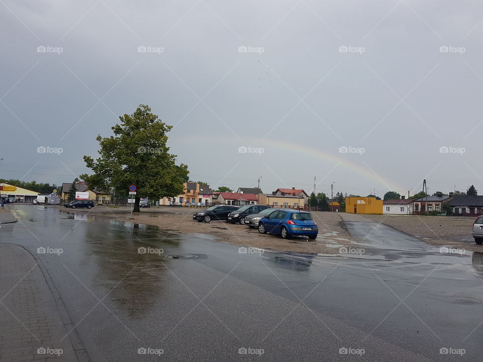 rainbow and linden