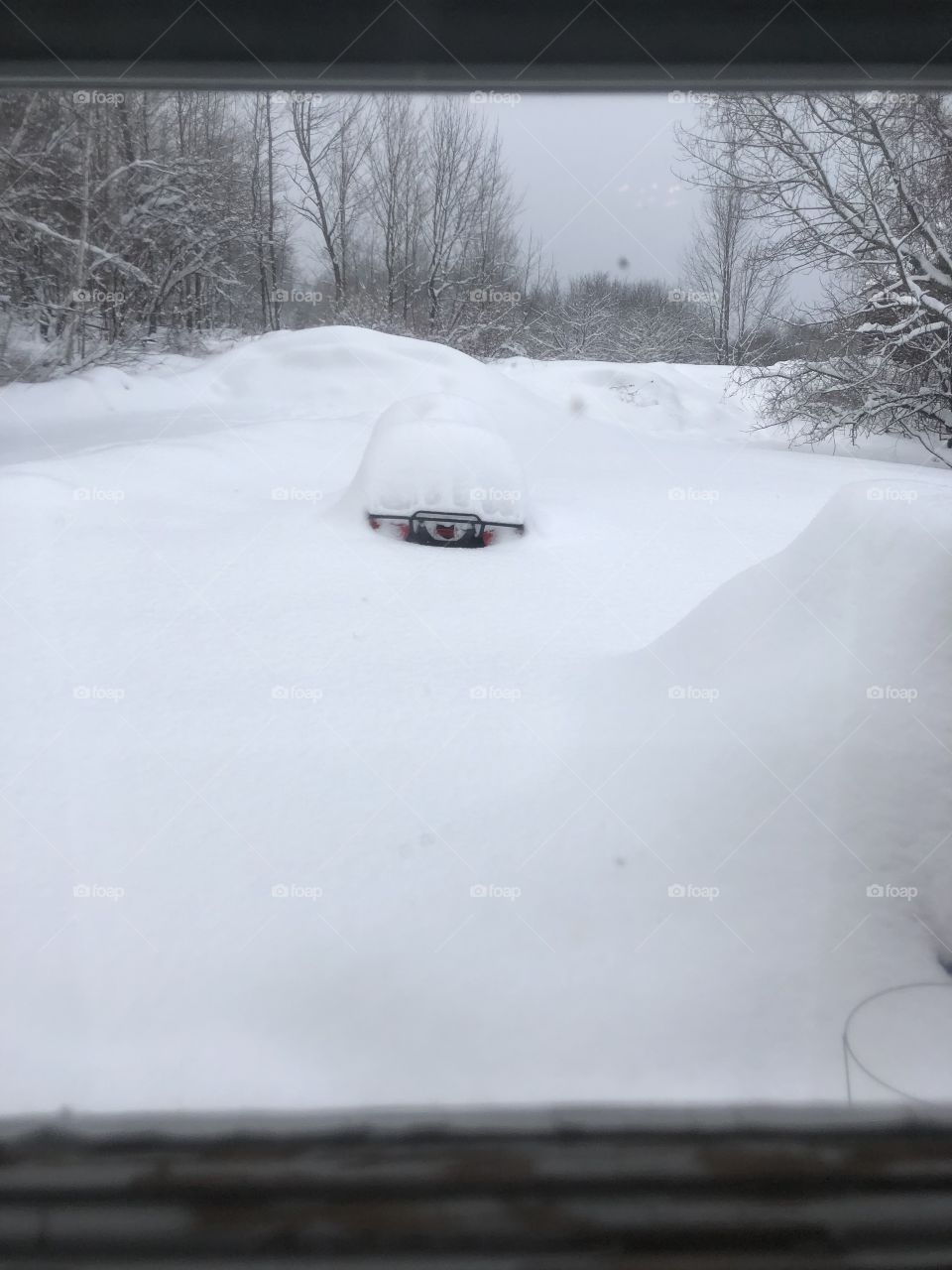 Snow storm aftermath 