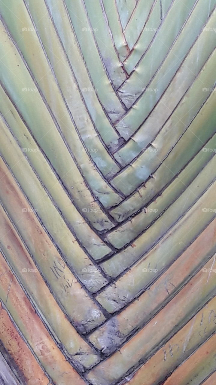leaf pattern detail