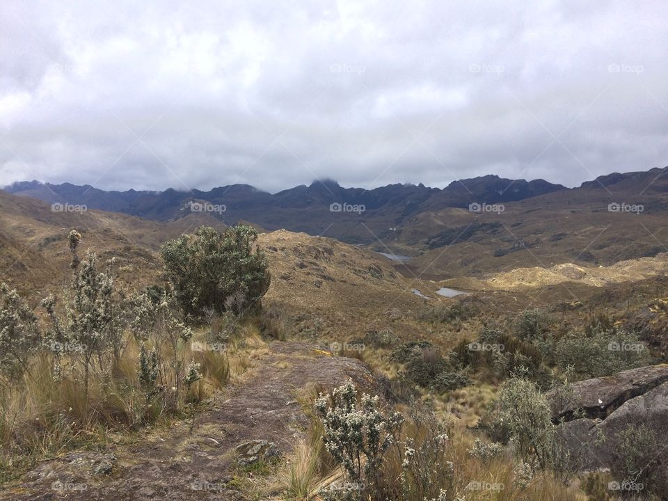 Parque nacional cajas 