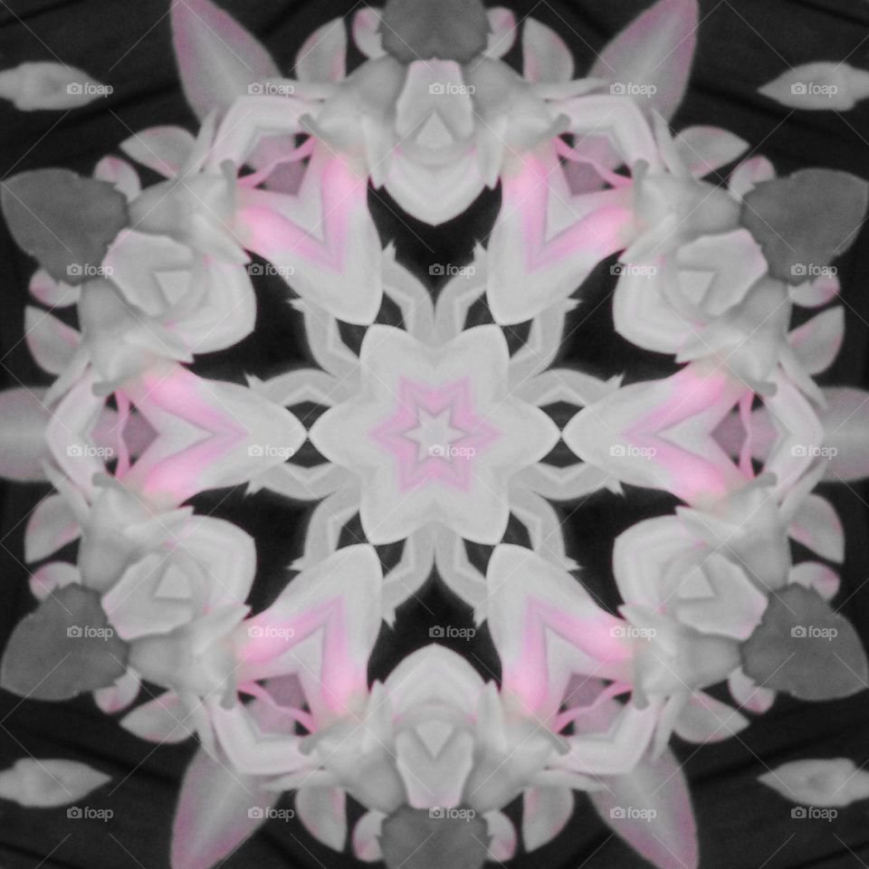 cactus kaleidoscope