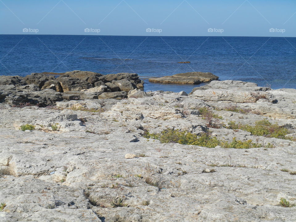 Sea, Seashore, Water, Beach, Ocean