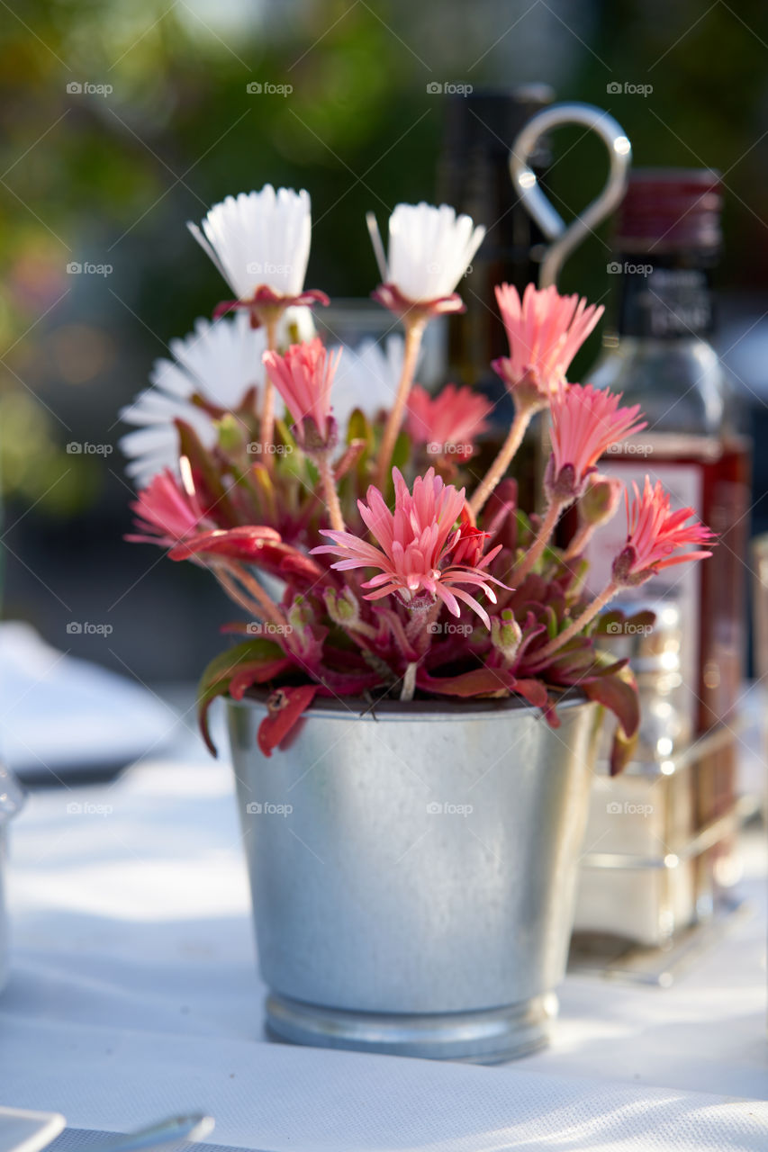 Spring in a pot