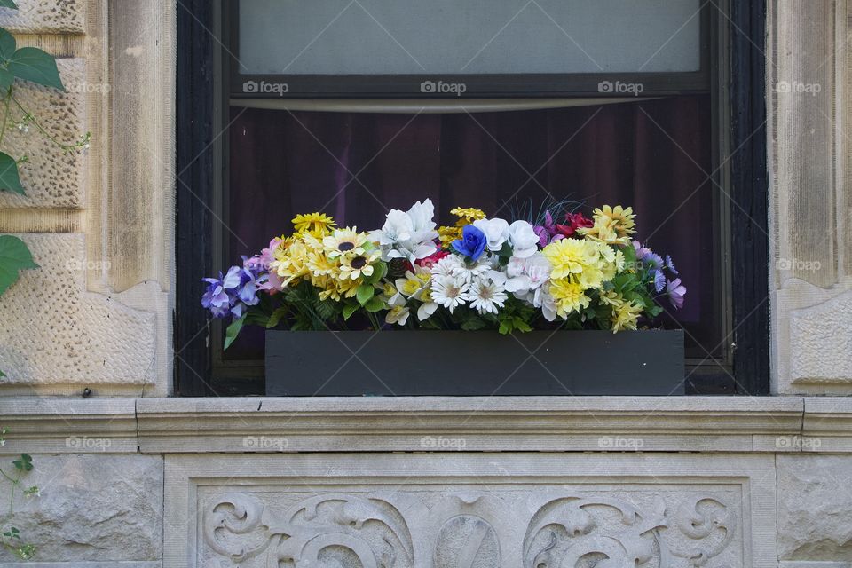 An assortment of potted flowers outside on a windowsill of a residential building in New York City, USA,