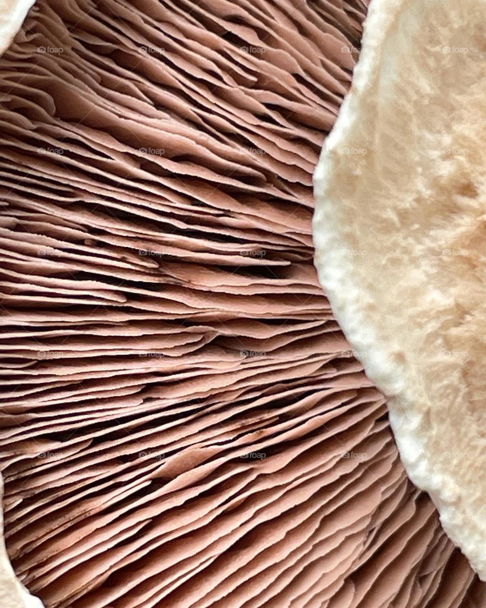 Up Close and personal. 