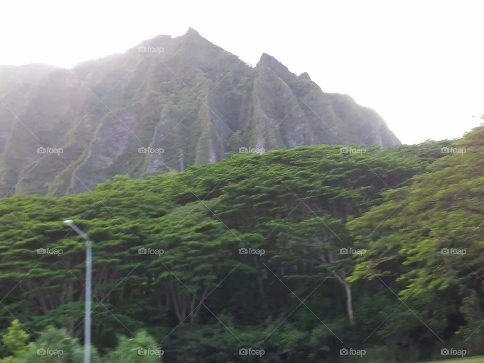 Hawaii