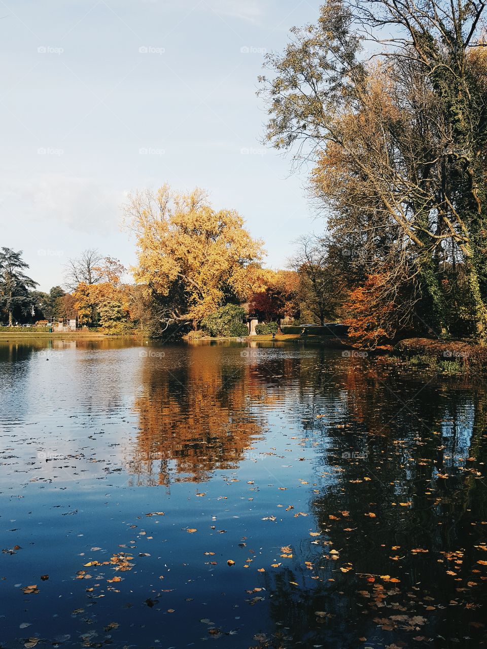 Fall in the park