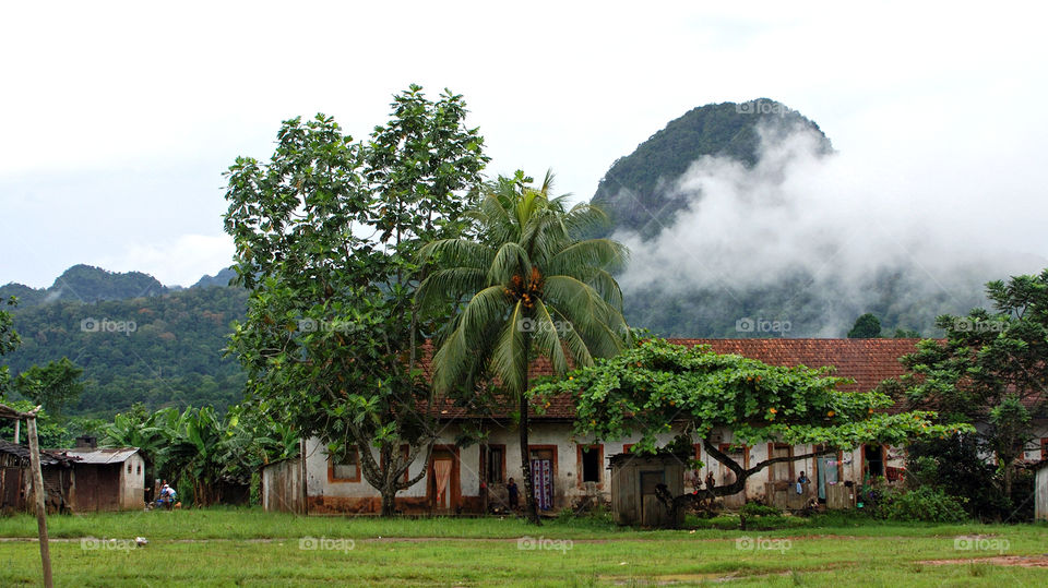 Tropical mountains at a plantation on Principe Island, São Tomé & Principe