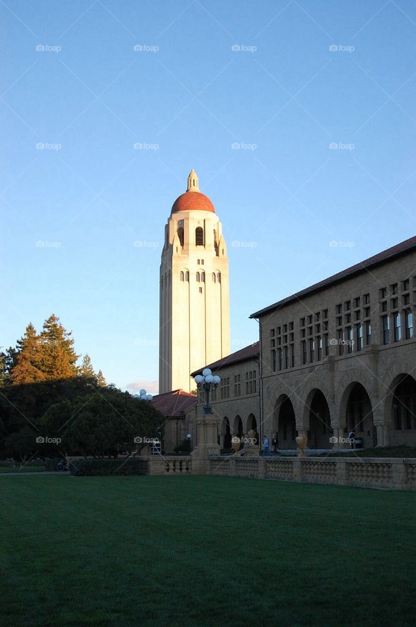 Stanford university