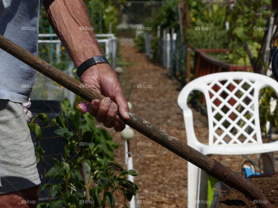 Gardening using shovel