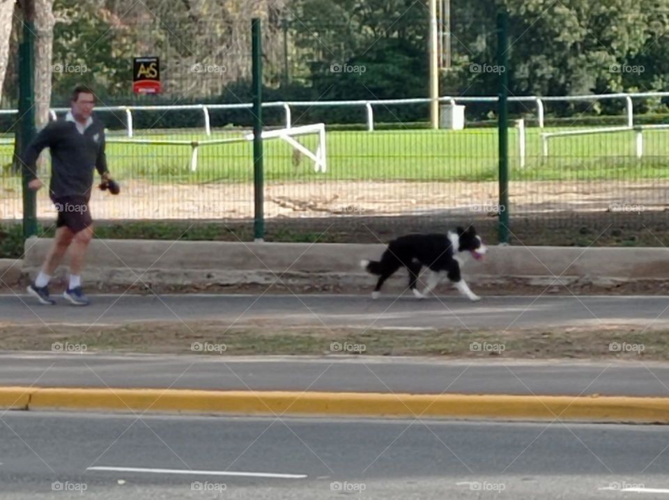 man and dog running / hombre y perro corriendo