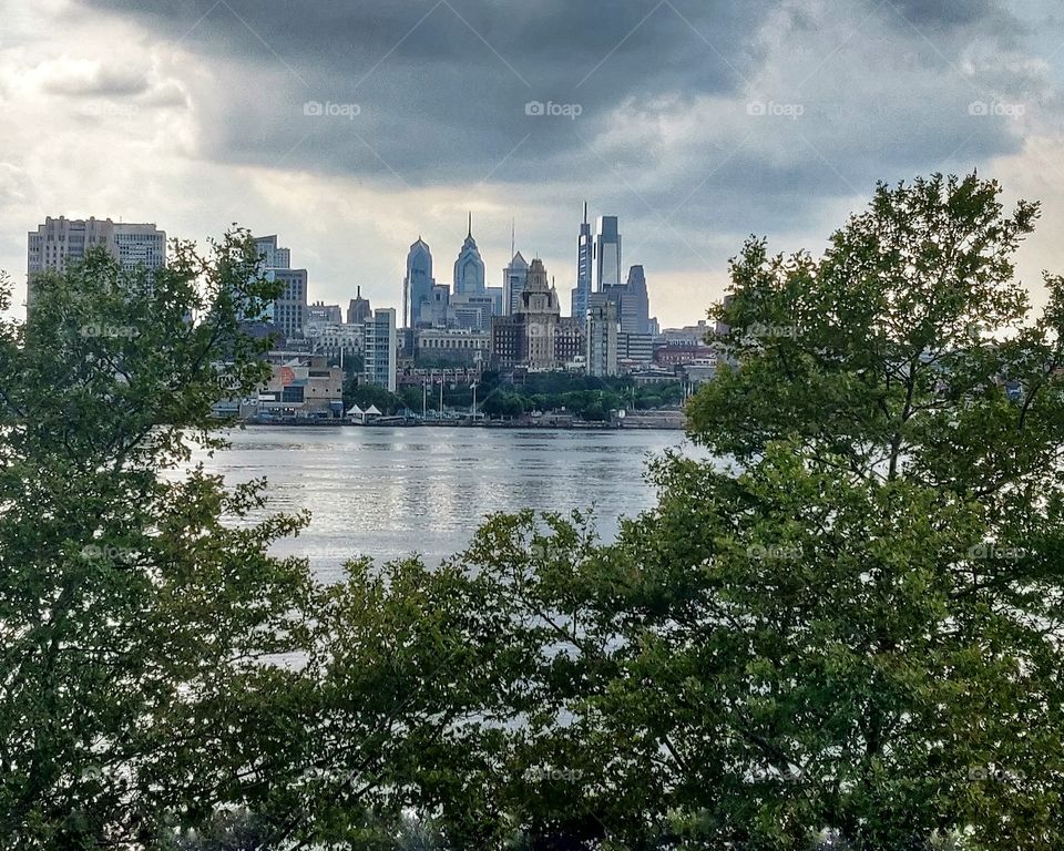 Trees Around Us
New York skyline view through trees