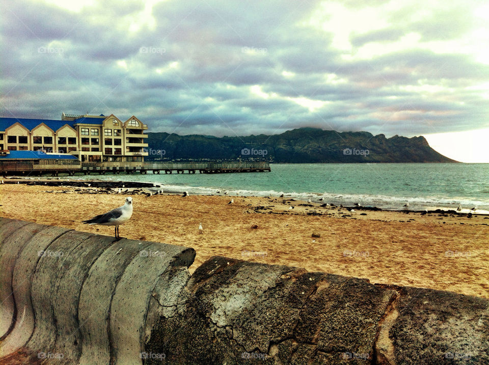 beach ocean clouds sand by calvinkay