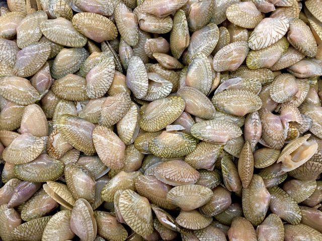 Snails ice, market