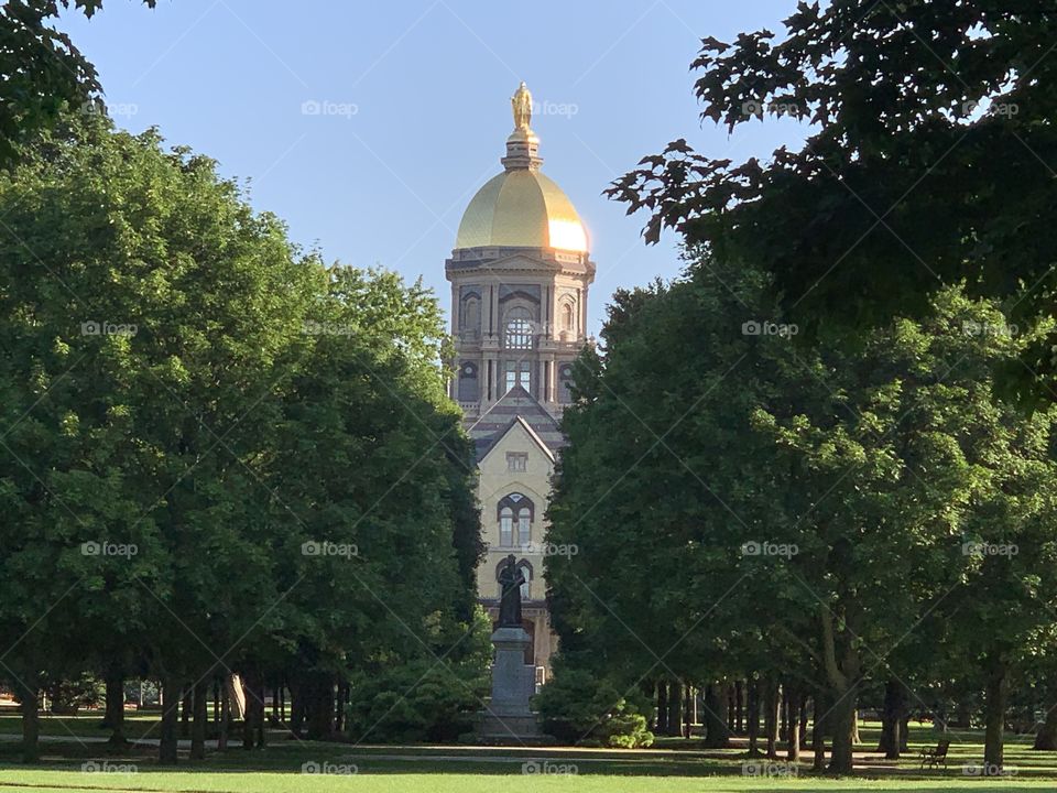Notre Dame University 
