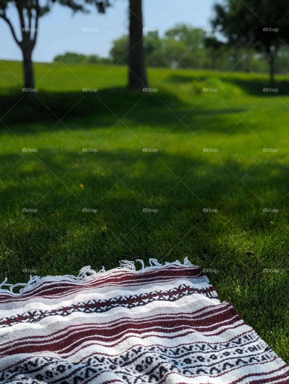 outdoor picnic blanket at the park eat play and lay in the grass under the warm sunshine