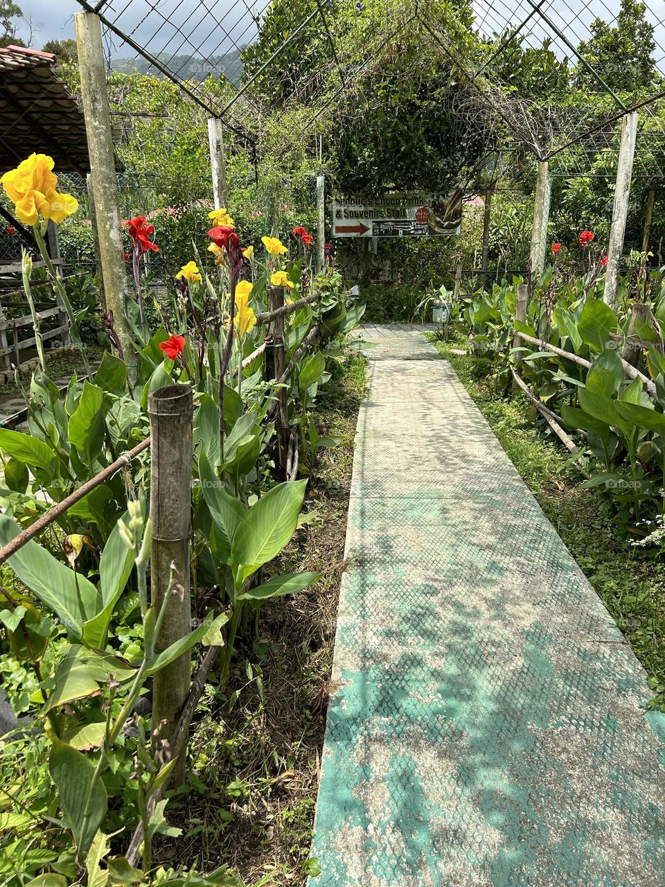 Walk in to Garden path