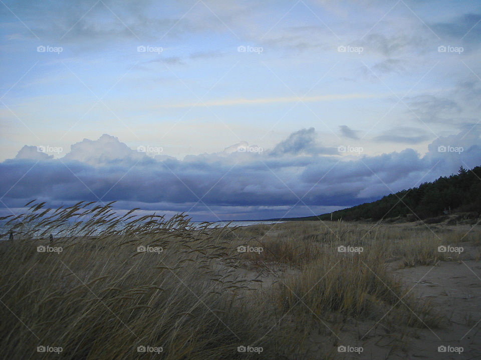 Overcast seascape in the evening with long grass