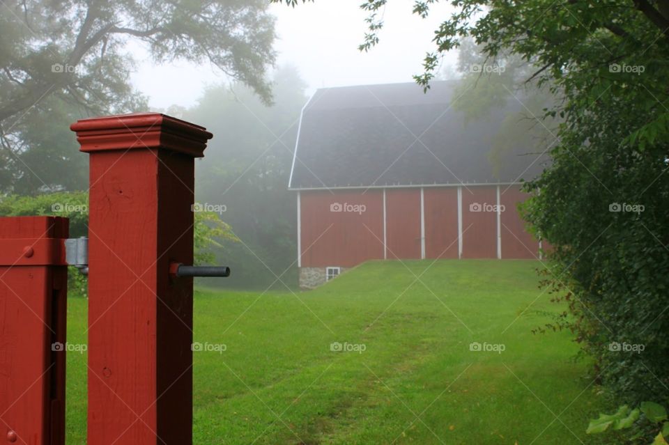 foggy barn