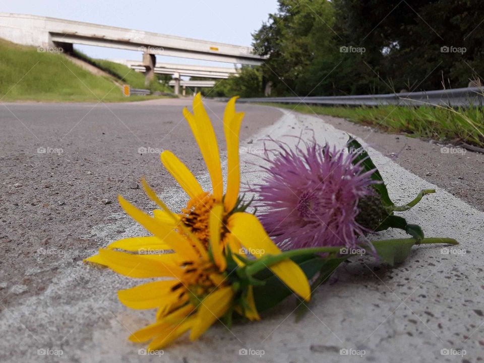 Just an old Oklahoma road