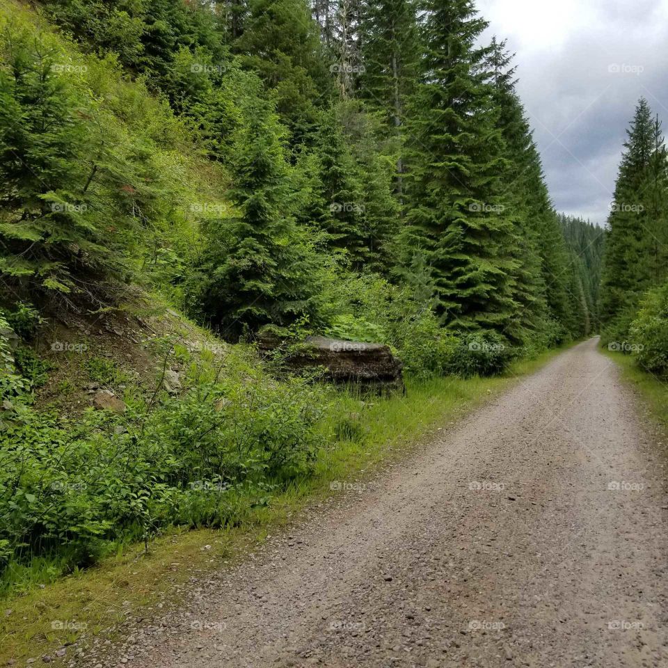 dirt road in the mountains surrounded by green trees with a rainy cloudy sky