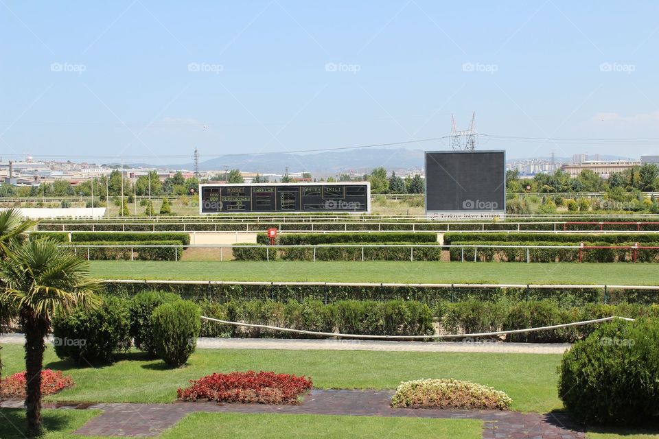 Hipodrom and horse and start 