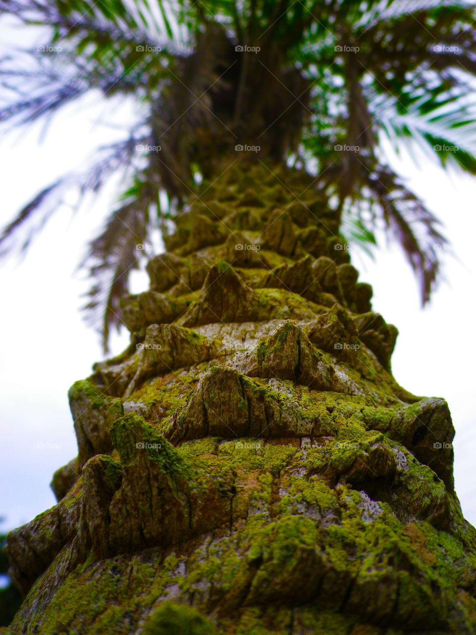 sky green nature close by hugo