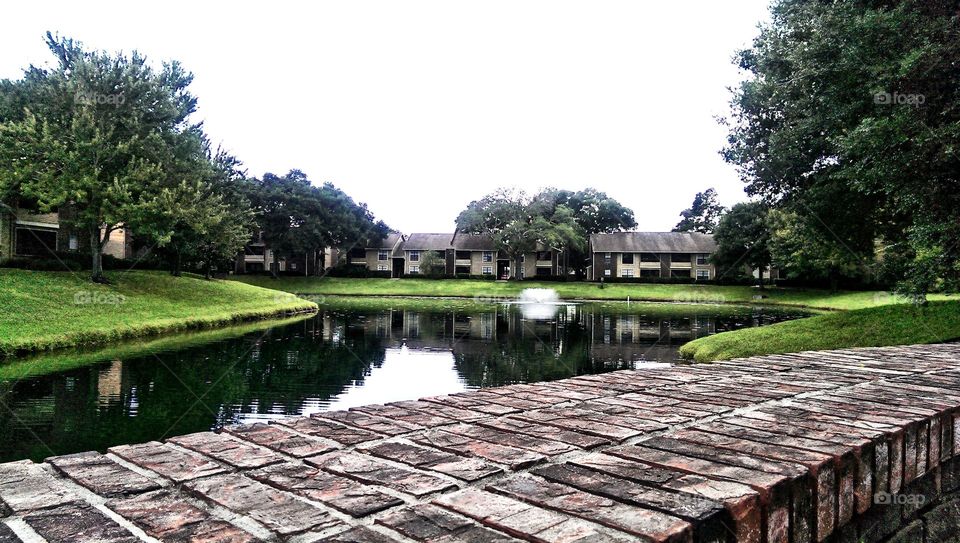 Cozy Apartment Homes