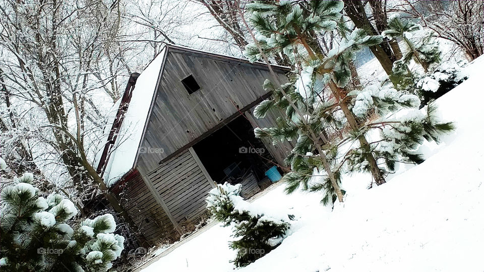 winter barn