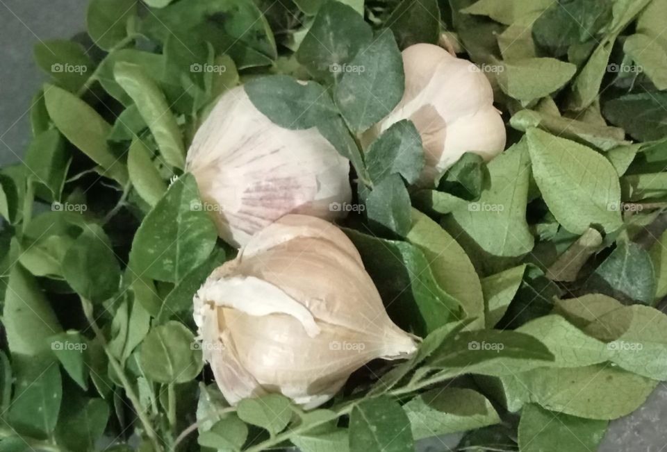 Garlic 🧄 and Curry leaves is most popular in Indian food. Both are important part of preparing daily food. In India we used making every vegetables.