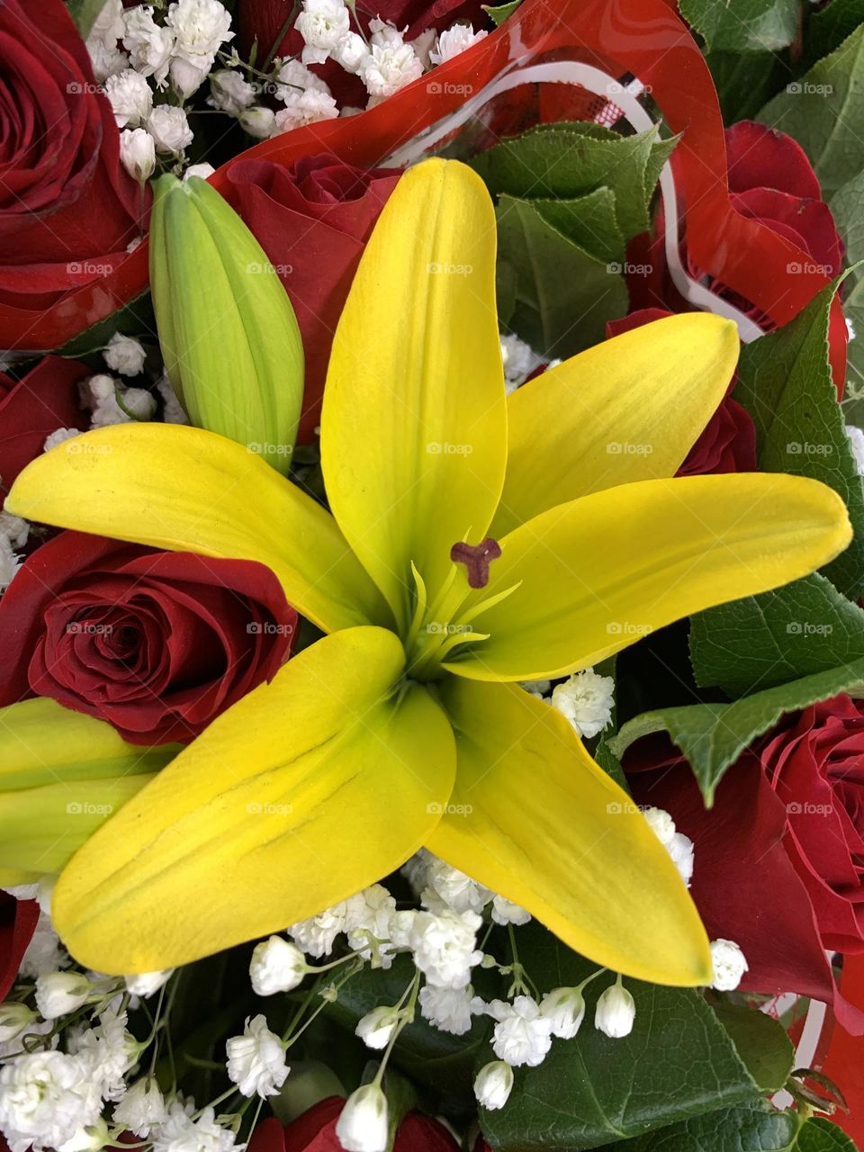 Beautiful yellow easter lily and red roses