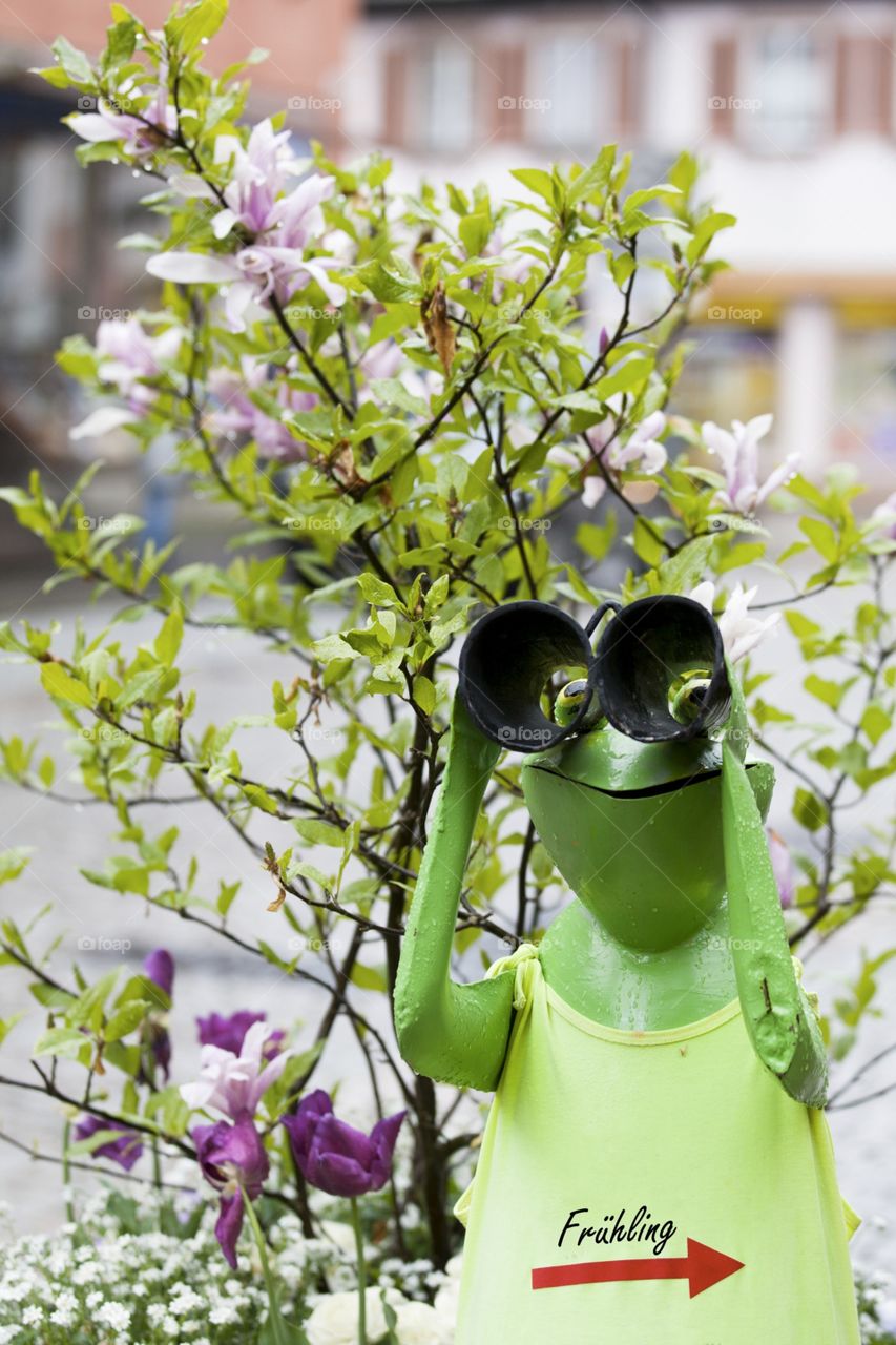 No Person, Nature, Leaf, Flower, Summer