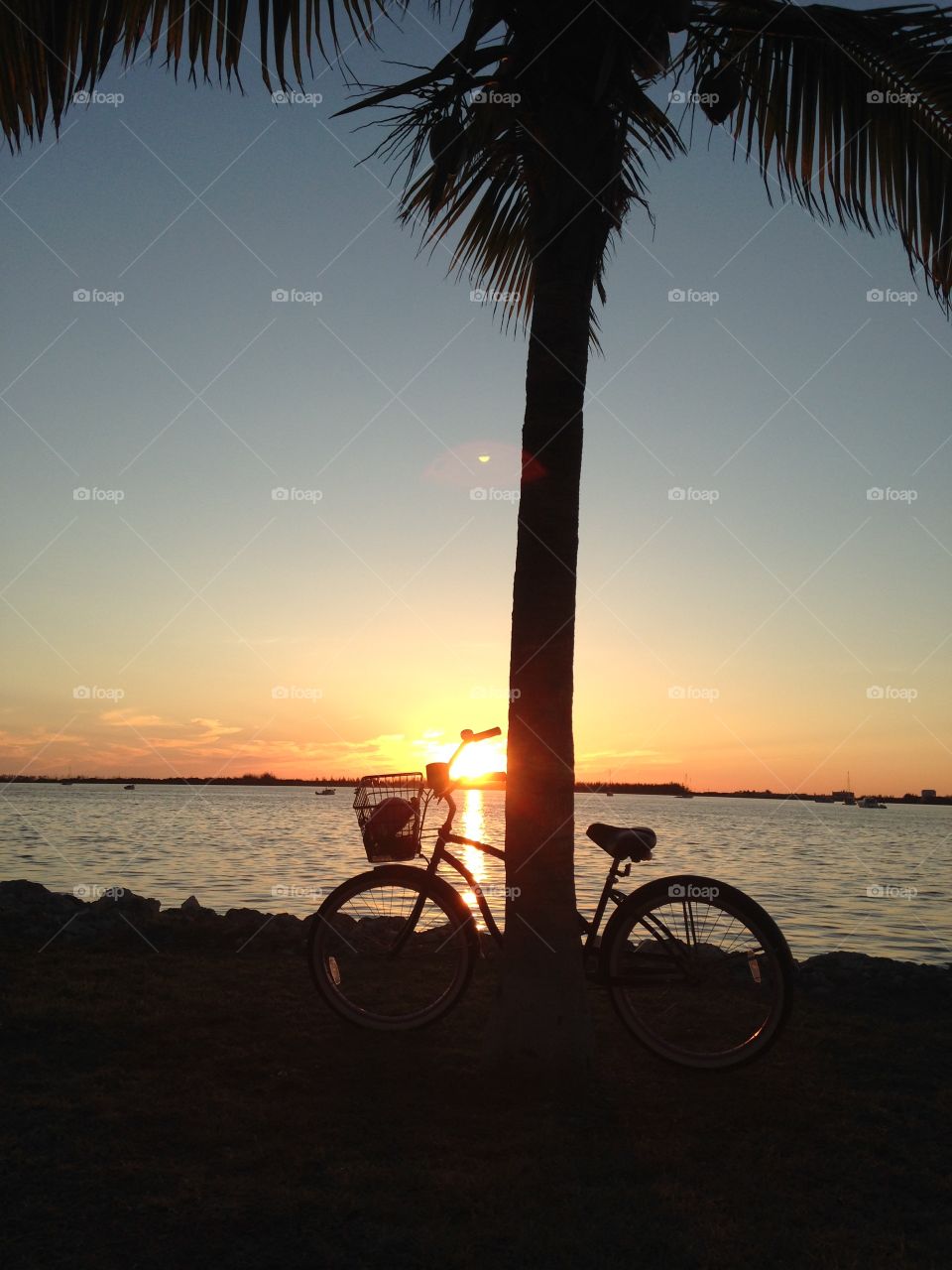 Bicycle sunset