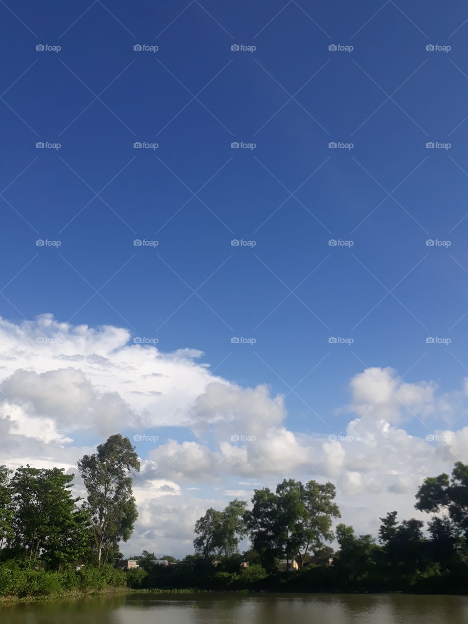 Beautiful sky and cloud in the sky