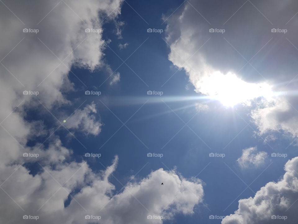 The sun from the clouds.