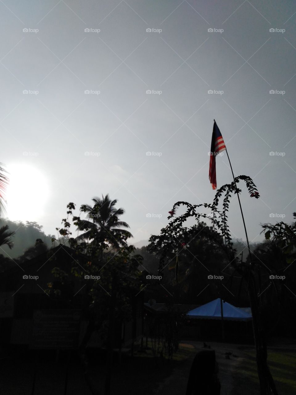 Landscape of trees on a sunrise in the morning with our national flag