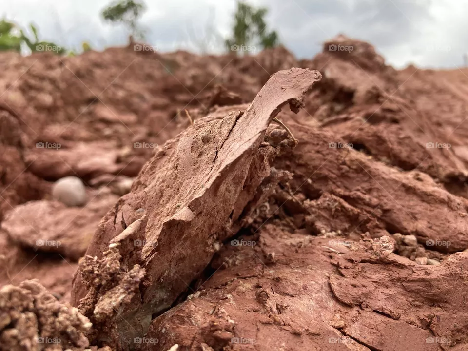 Dirt flakes