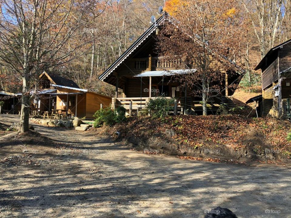 amazing house in a village