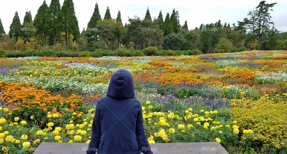 Enjoying flower blooming