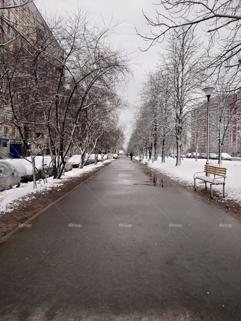I ran to the station and could not help but photograph the winter street along the way.