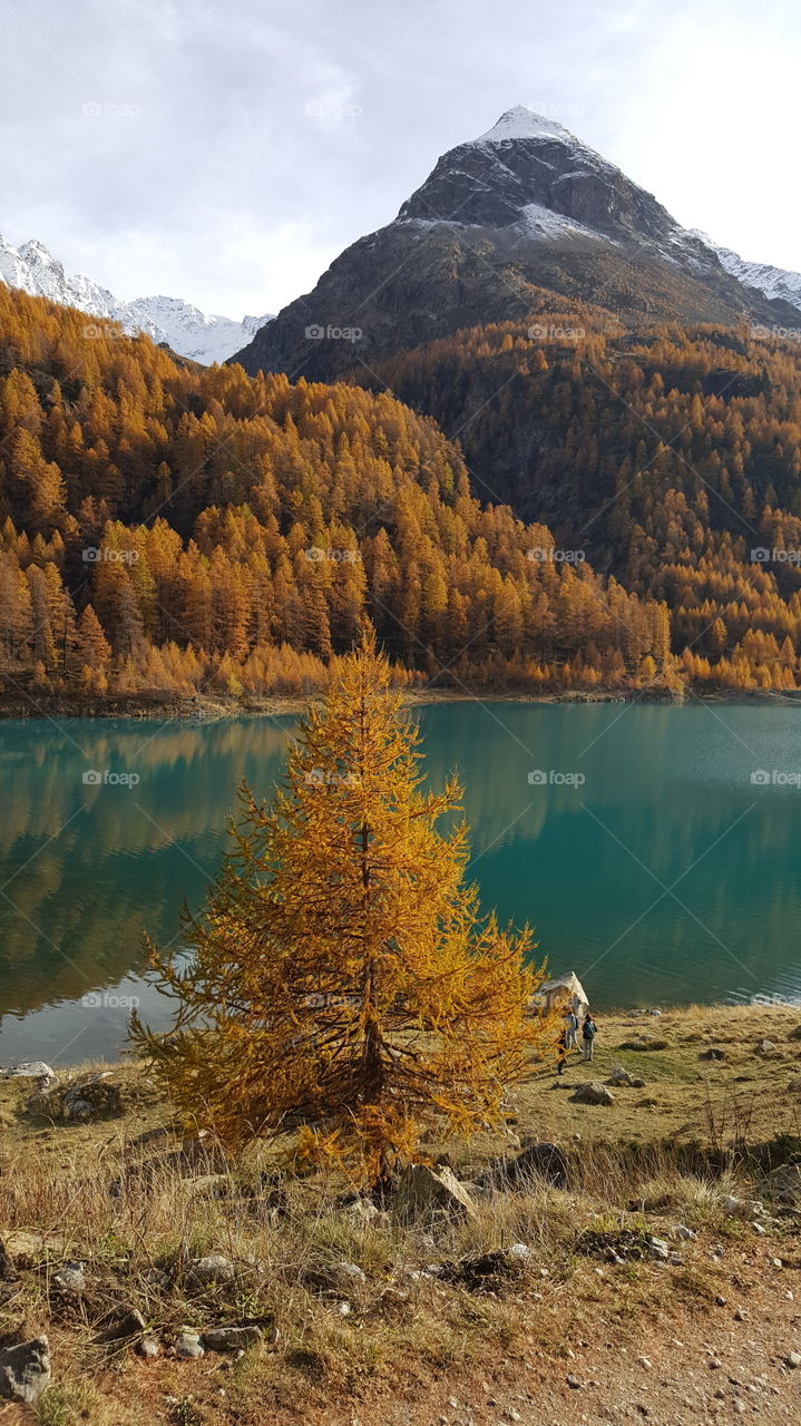 Panoramic view lake bionaz Italy