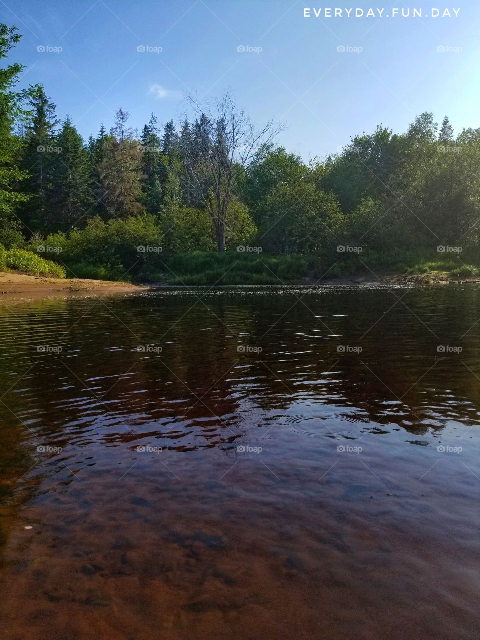 Nature is Beautiful 🍃